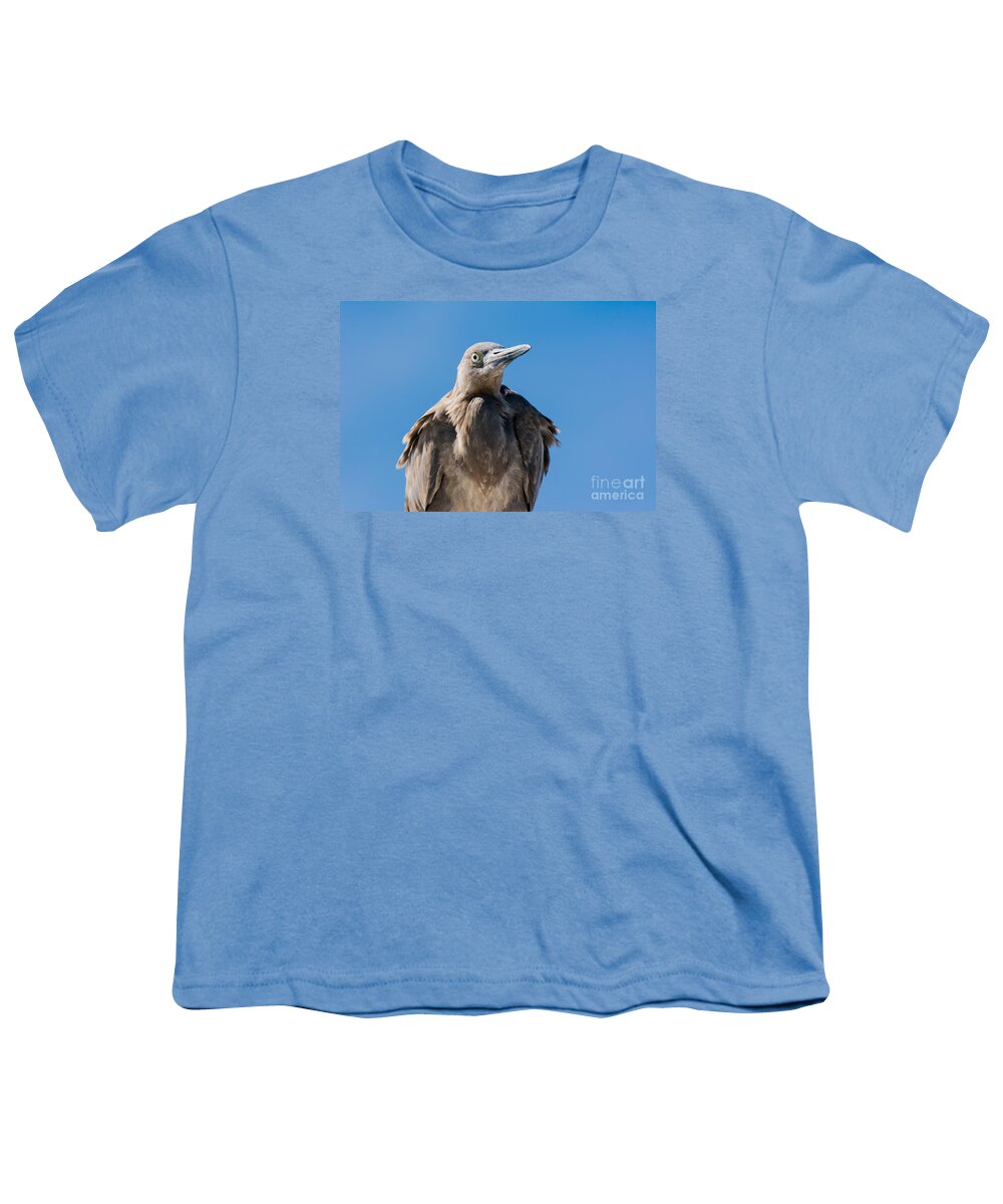 Egret Youth T-Shirt featuring the photograph Immature Reddish Egret by John Greco