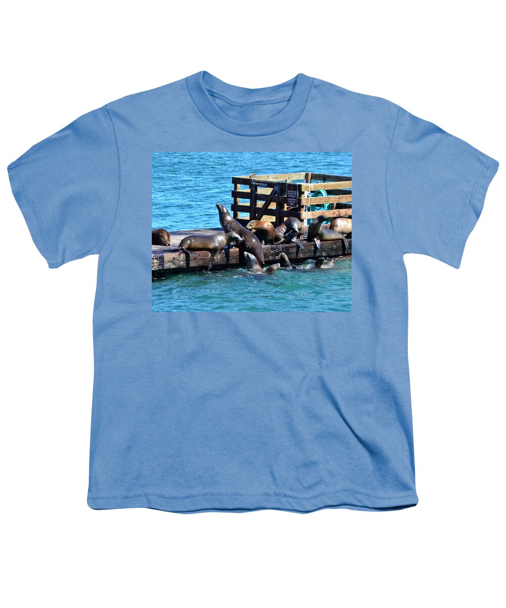 Seals Youth T-Shirt featuring the photograph Keep Off the Dock - Sea lions Can't Read by Anthony Murphy