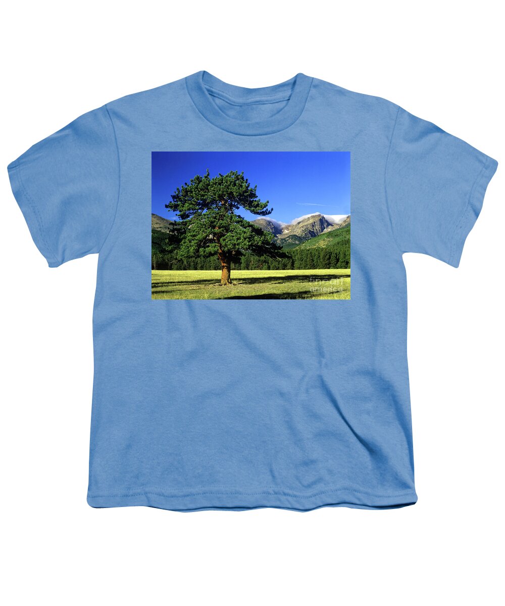 Rocky Mountain National Park Youth T-Shirt featuring the photograph Pine tree, Rocky Mountain National Park, Colorado by Kevin Shields