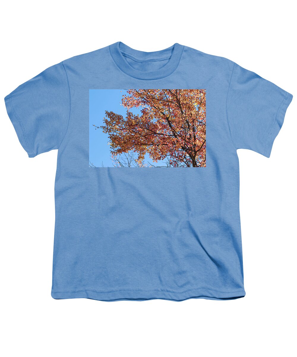 Tree Tops Youth T-Shirt featuring the photograph The Tree Tops 5 - by Julie Weber