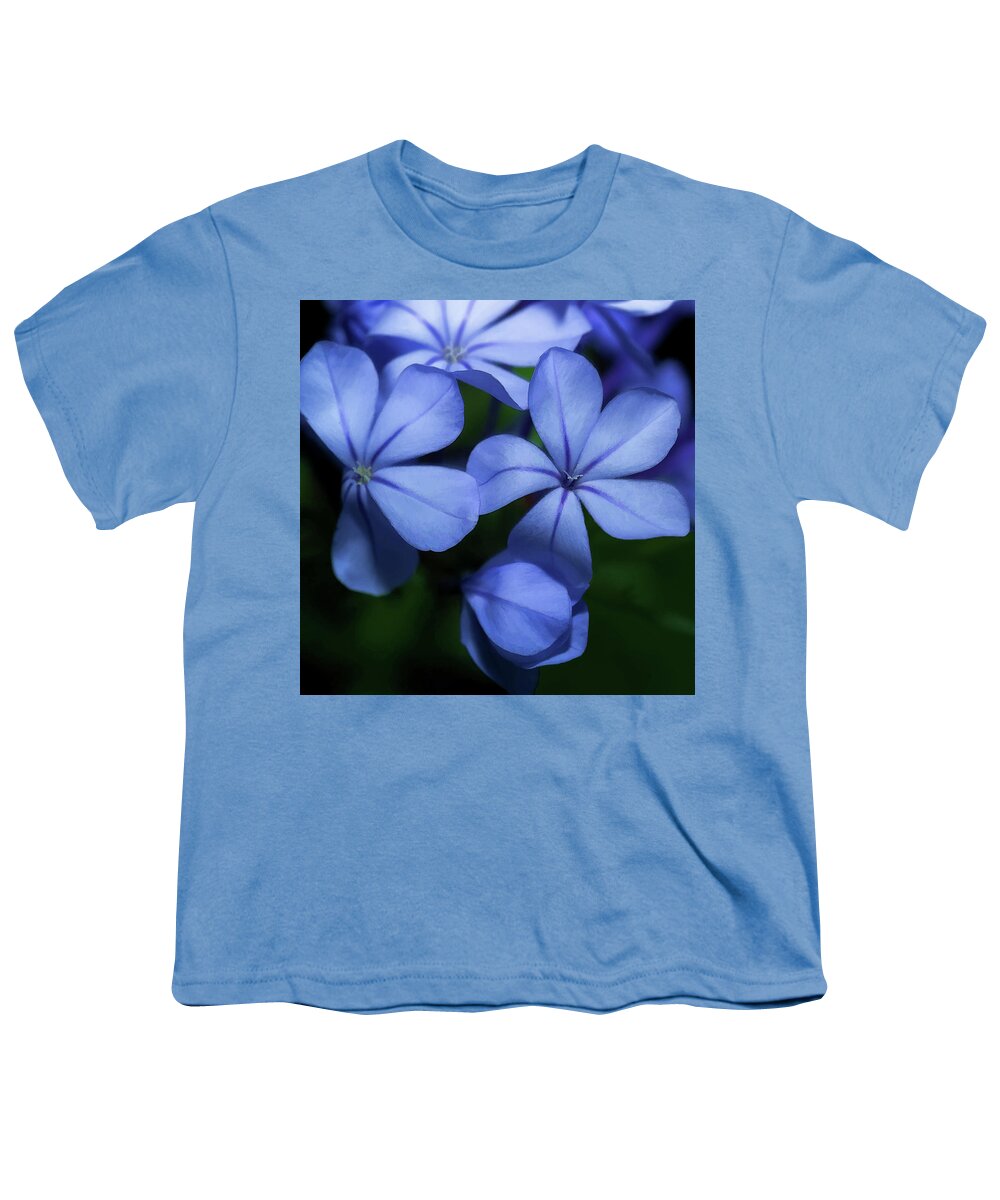 Flower Youth T-Shirt featuring the photograph Violets by Frank Lee