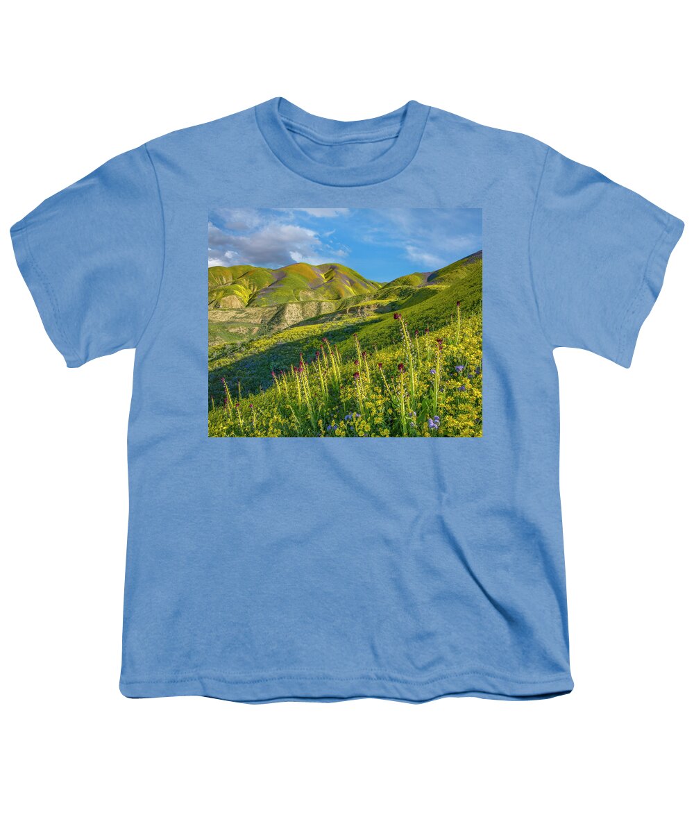 00568637 Youth T-Shirt featuring the photograph Desert Candle, Phacelia, And Hillside Daisy Superbloom, Temblor Range, Carrizo Plain Nm, California by Tim Fitzharris