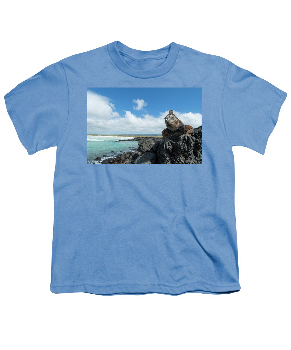 Animals Youth T-Shirt featuring the photograph Marine Iguana Basking, Tortuga Bay by Tui De Roy