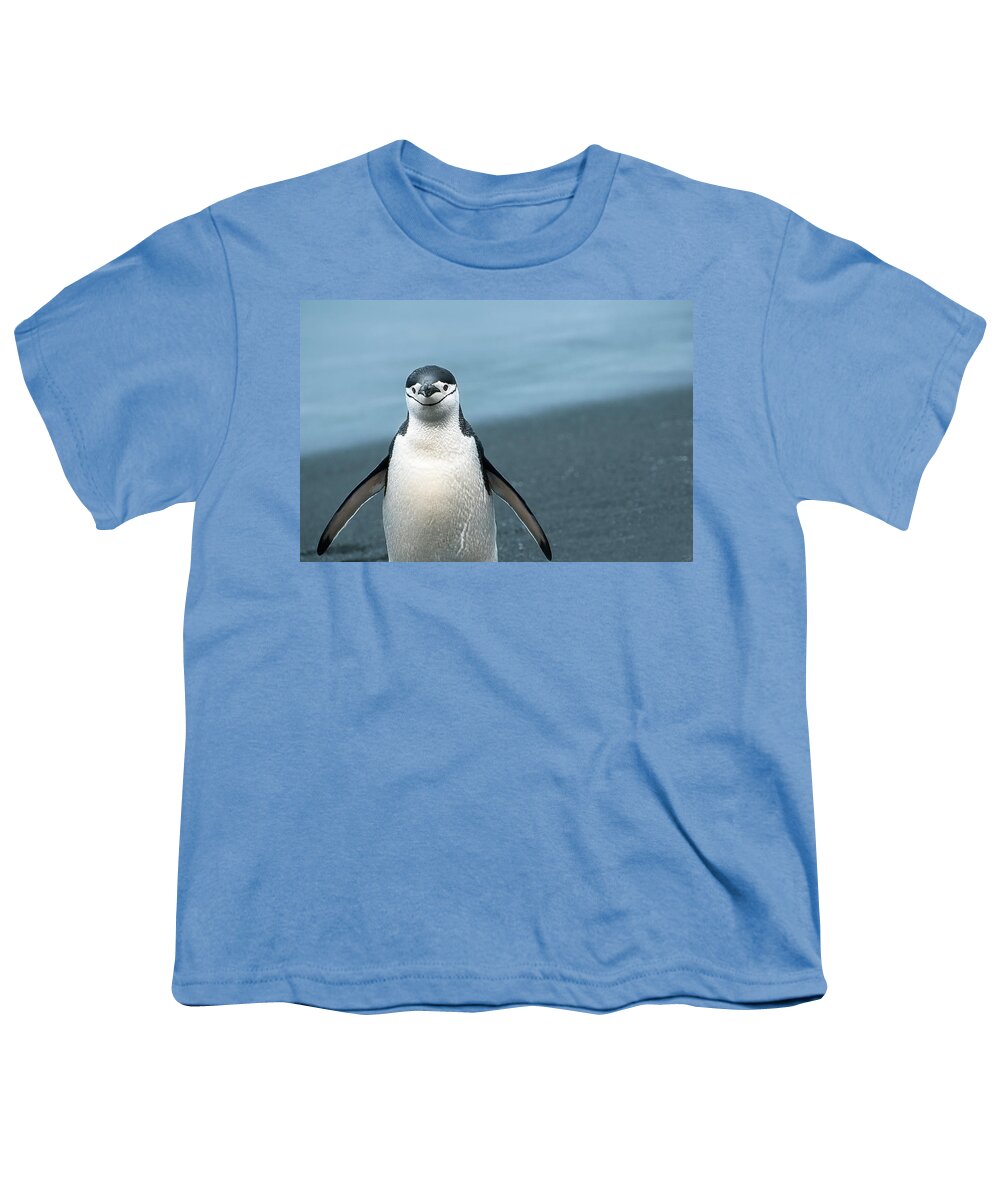 Penguin Youth T-Shirt featuring the photograph Chinstrap Penguin Greeting by Linda Villers