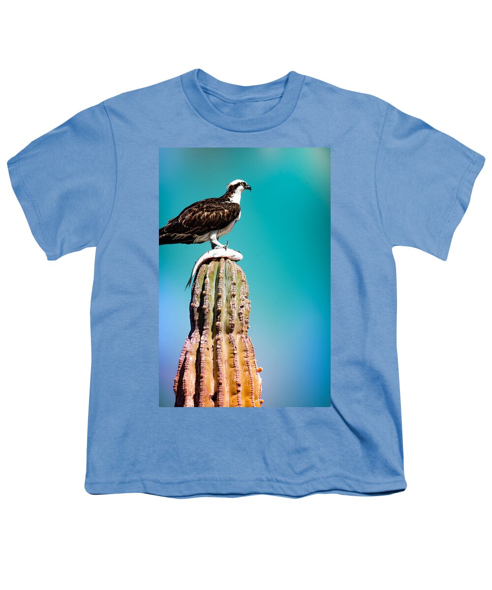 Desert Youth T-Shirt featuring the photograph Desert Hunter - An Osprey with its Prey by Bonny Puckett