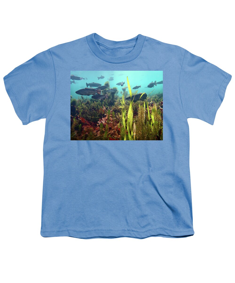 Fish Youth T-Shirt featuring the photograph Meramac Spring by Robert Charity
