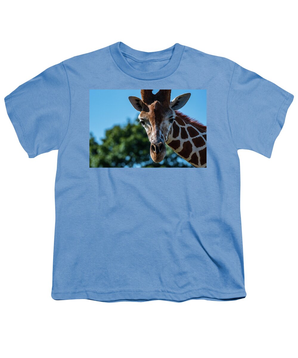 Reticulated Giraffe Youth T-Shirt featuring the photograph Well Hello There by Rose Guinther