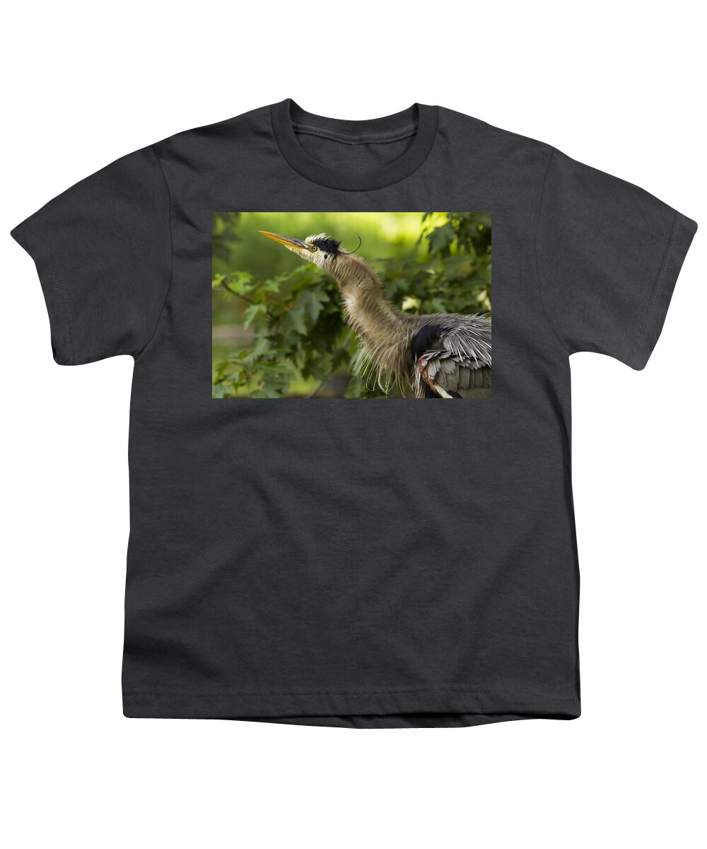 Grey Youth T-Shirt featuring the photograph Heron in Breeding Plumage by Mircea Costina Photography