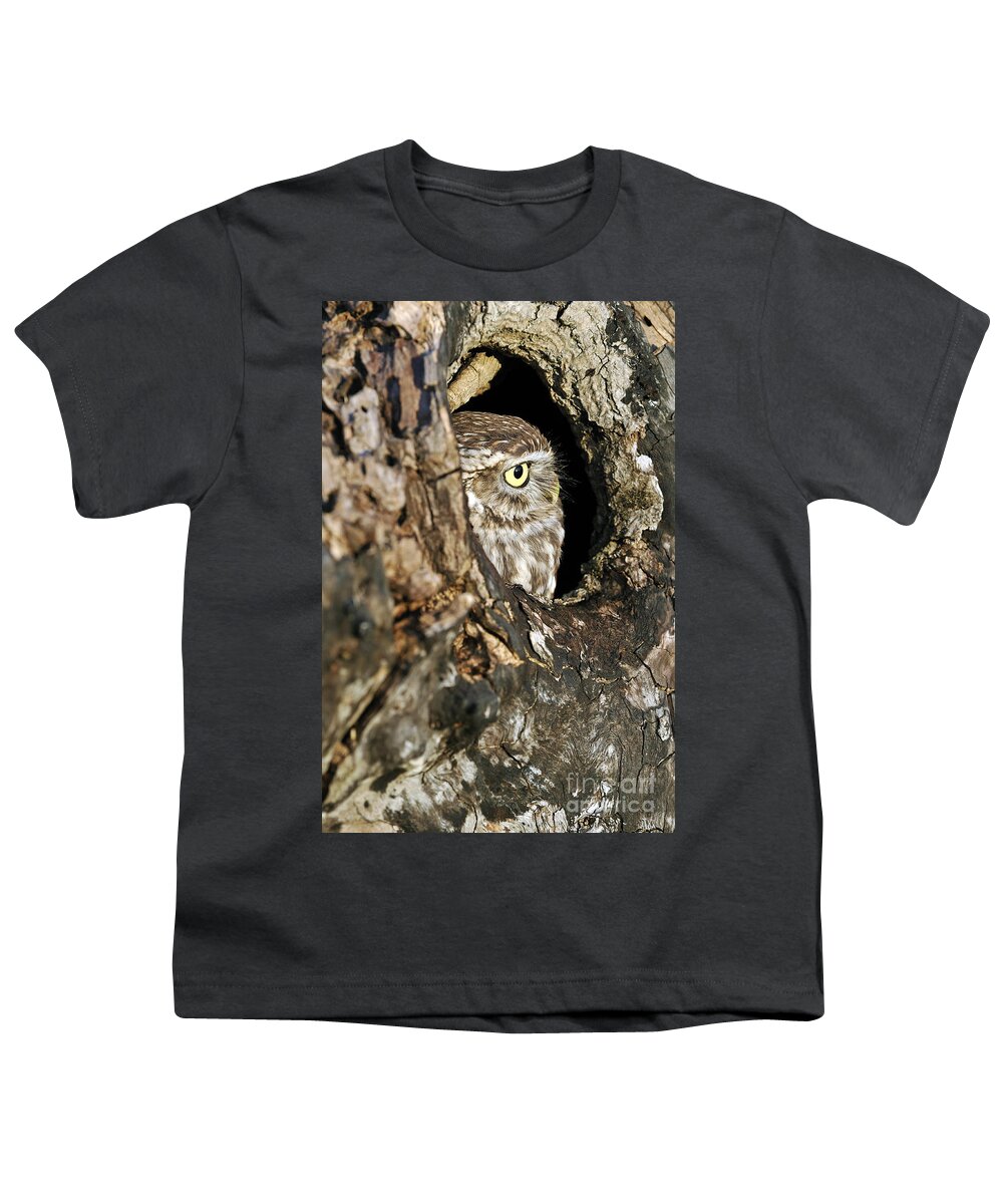 Little Owl Youth T-Shirt featuring the photograph 090811p325 by Arterra Picture Library