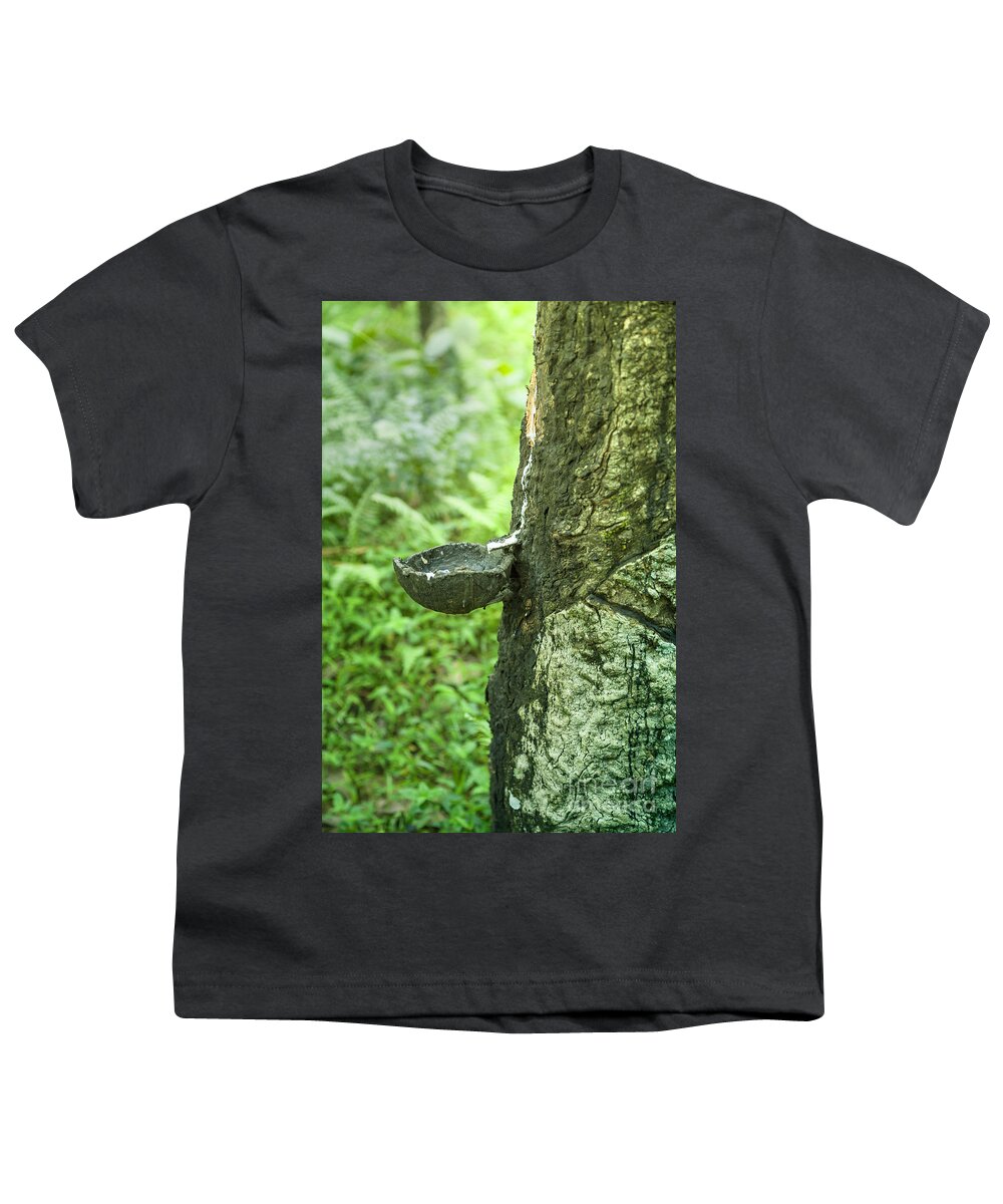 Tree Youth T-Shirt featuring the photograph A drip pan on a rubber tree #1 by Gina Koch