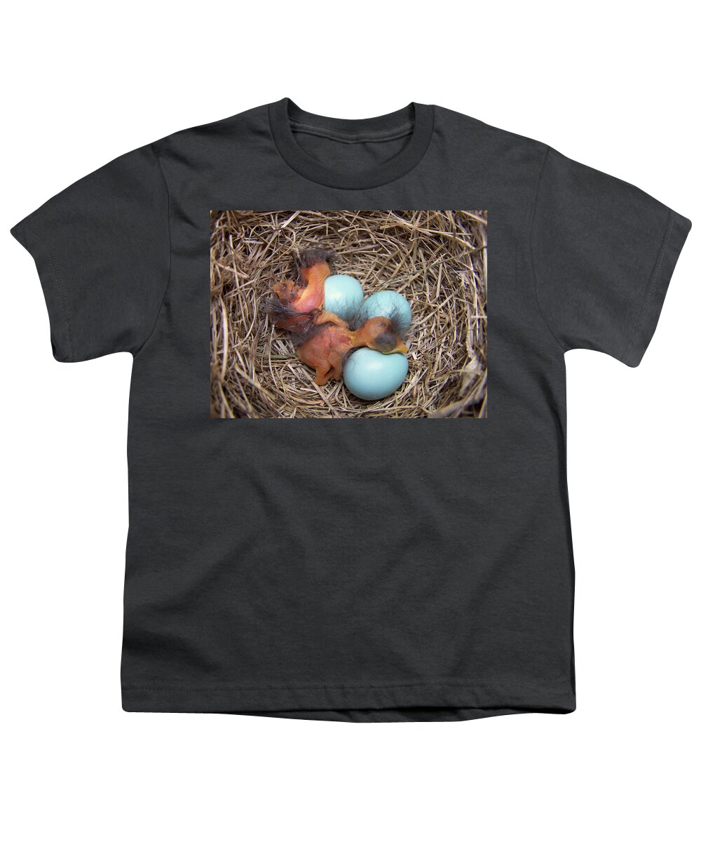 Bird Youth T-Shirt featuring the photograph Bluebird Hatch #1 by Bill Pevlor