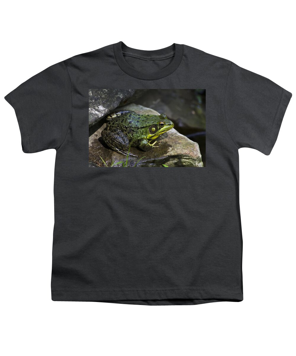 Frog Youth T-Shirt featuring the photograph Green Frog by Christina Rollo
