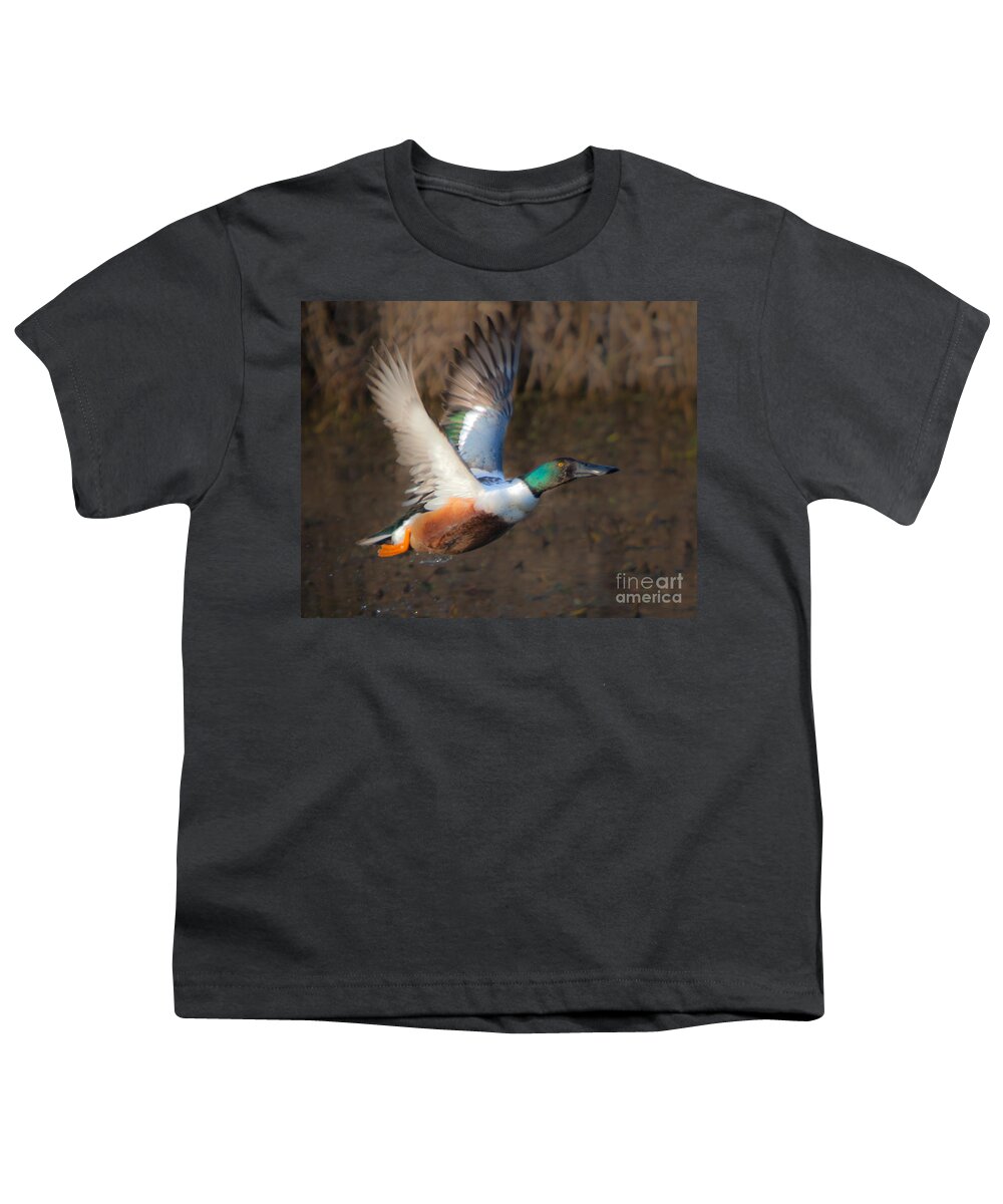 Male Youth T-Shirt featuring the photograph Male Northern Shoveler #1 by Ronald Lutz