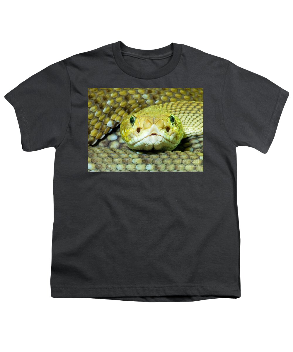 Animal Youth T-Shirt featuring the photograph Mexican West Coast Rattlesnake #1 by Millard H. Sharp