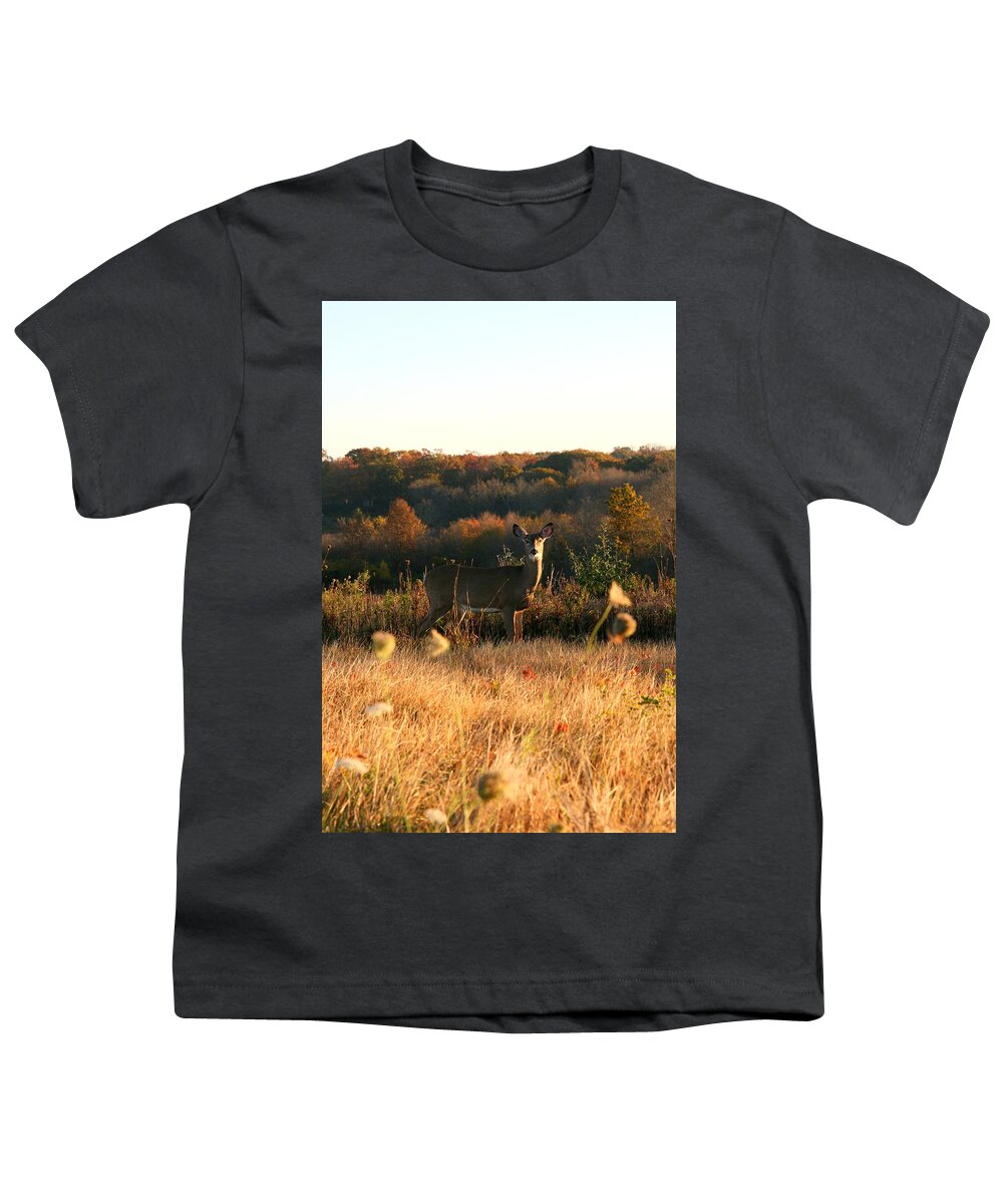 Deer Art Youth T-Shirt featuring the photograph Morning Grazing  #1 by Neal Eslinger