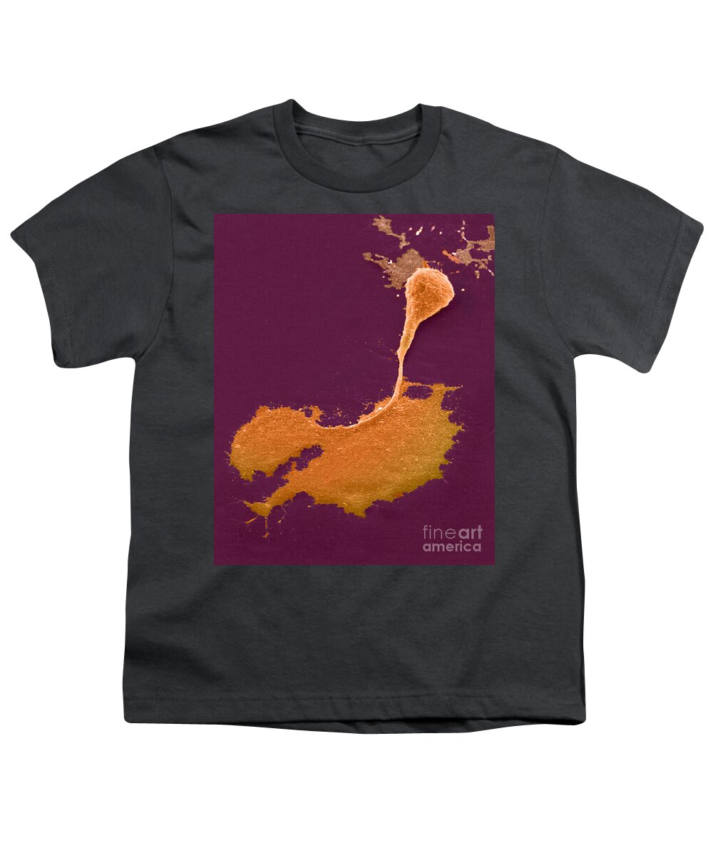 Science Youth T-Shirt featuring the photograph Nerve Cell With Axon And Growth Cone #1 by Science Source