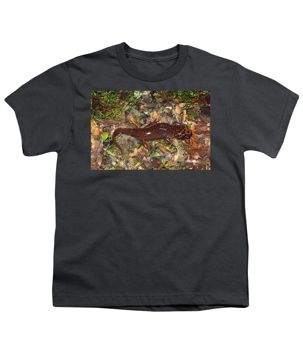 Amphibia Youth T-Shirt featuring the photograph Pacific Giant Salamander #1 by Karl H. Switak