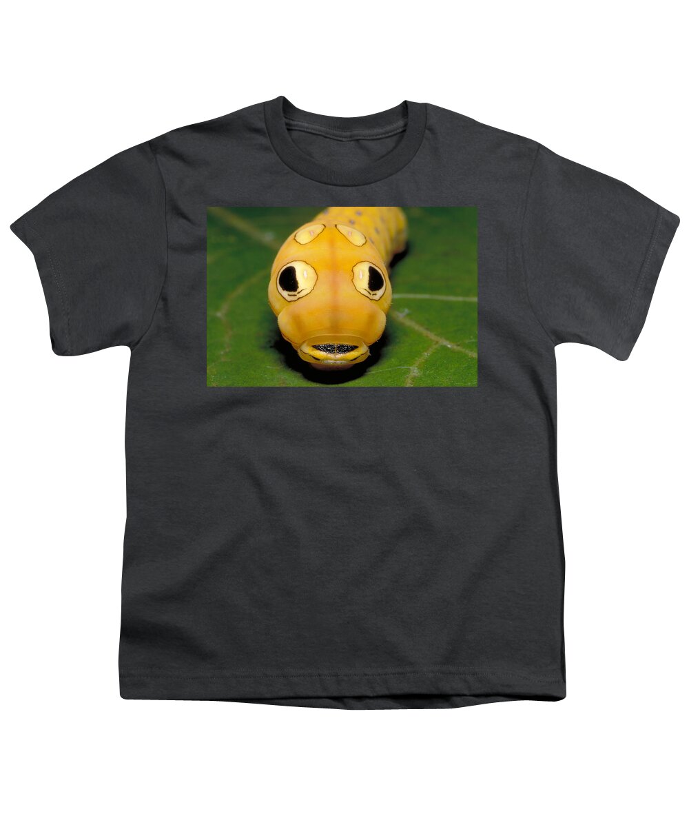 Insect Youth T-Shirt featuring the photograph Spicebush Swallowtail #3 by Jeff Lepore