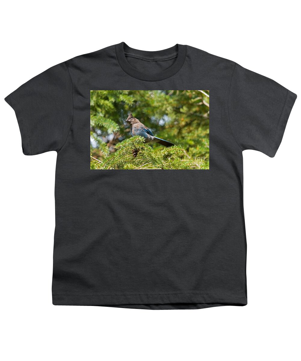Animal Youth T-Shirt featuring the photograph Stellers Jay in Endovalley #1 by Fred Stearns
