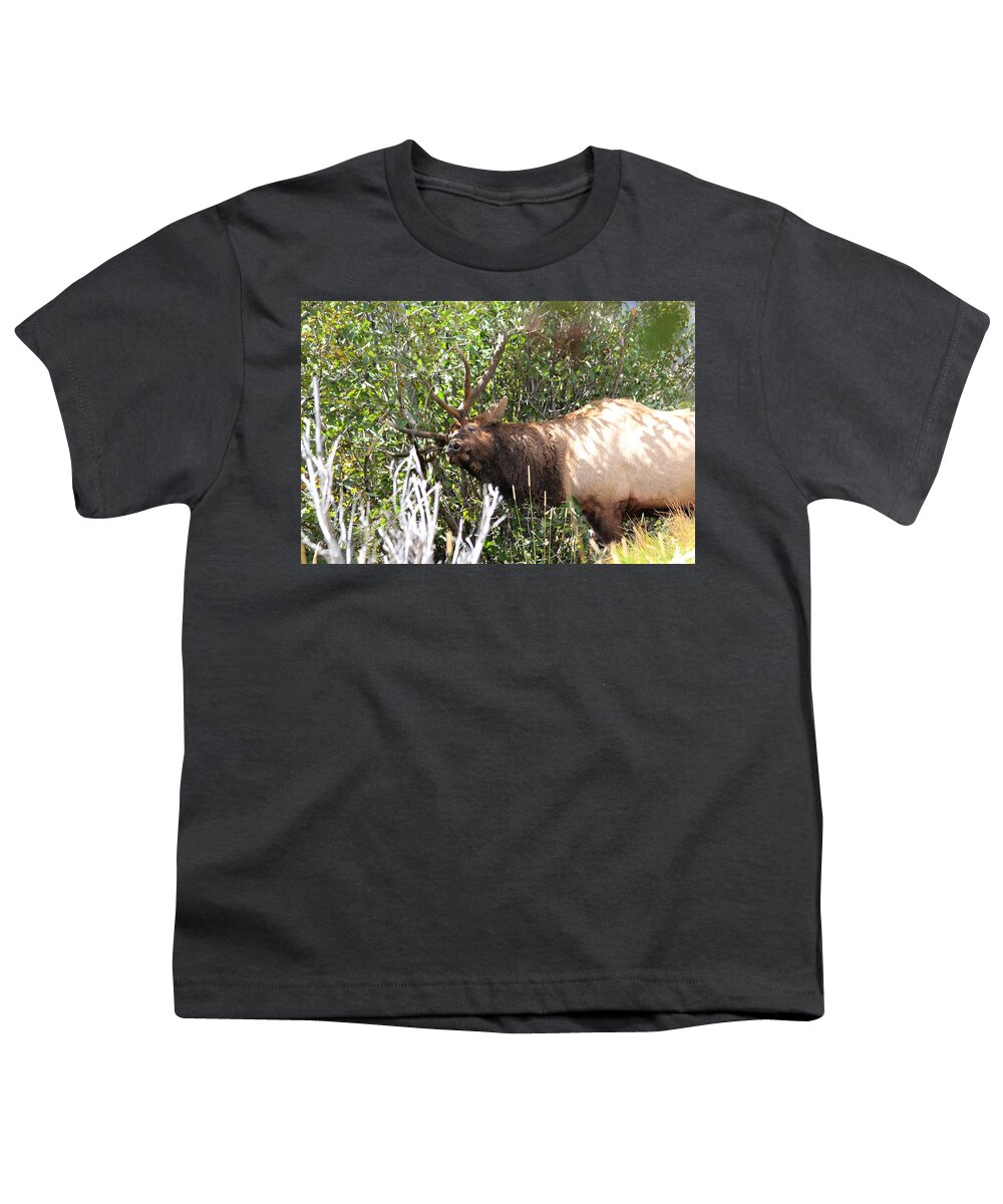 Elk Youth T-Shirt featuring the photograph The Rut by Shane Bechler