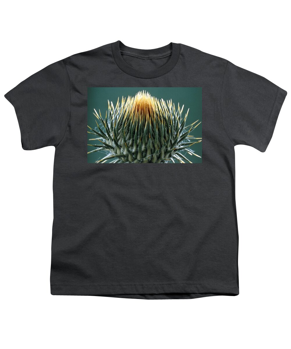 About To Open Youth T-Shirt featuring the photograph Thistle Bud #1 by Perennou Nuridsany