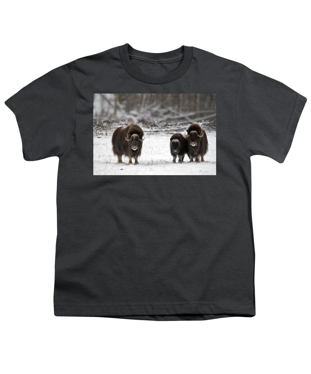 Nature Youth T-Shirt featuring the photograph Muskox #17 by Mark Newman