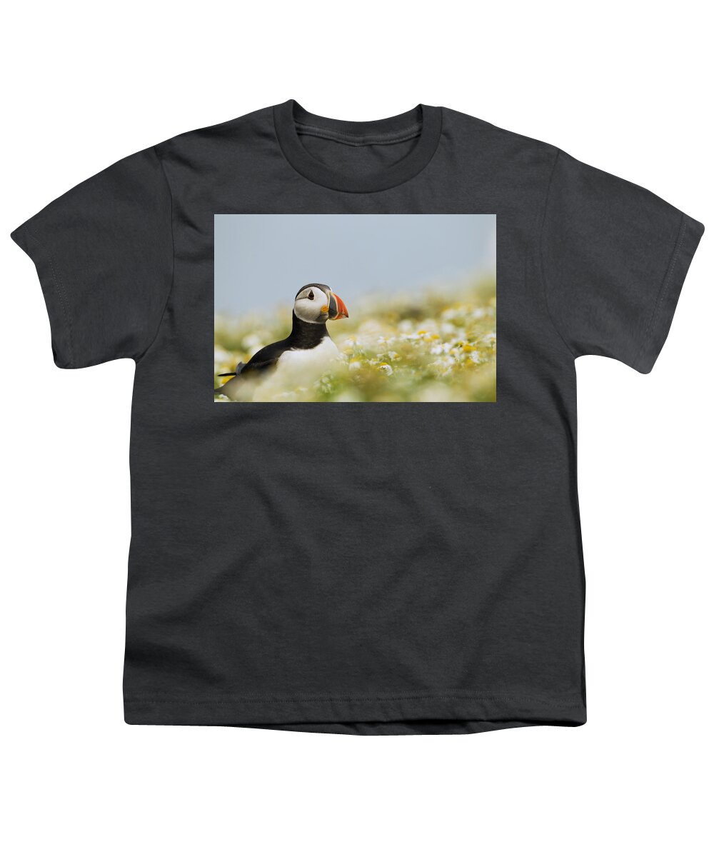 Sebastian Kennerknecht Youth T-Shirt featuring the photograph Atlantic Puffin In Breeding Plumage #2 by Sebastian Kennerknecht