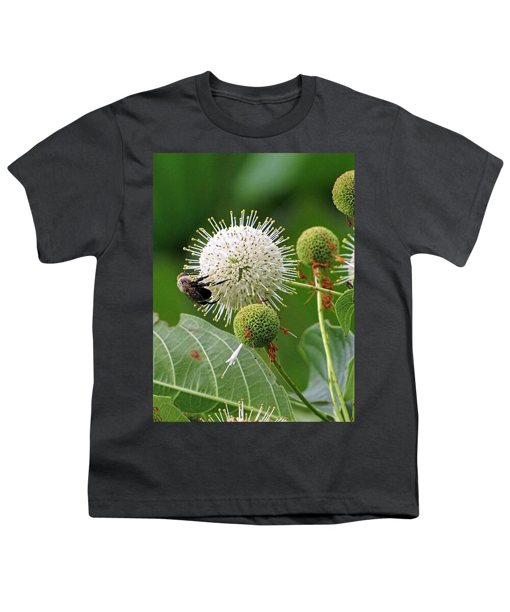 Bumble Bee Youth T-Shirt featuring the photograph Bumbler #2 by Jennifer Wheatley Wolf