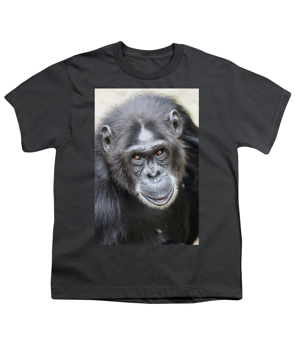 Hiroya Minakuchi Youth T-Shirt featuring the photograph Chimpanzee Portrait Ol Pejeta #2 by Hiroya Minakuchi