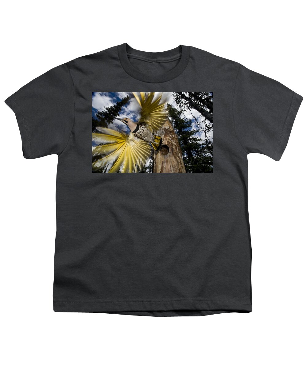 Michael Quinton Youth T-Shirt featuring the photograph Northern Flicker Leaving Nest Cavity #2 by Michael Quinton