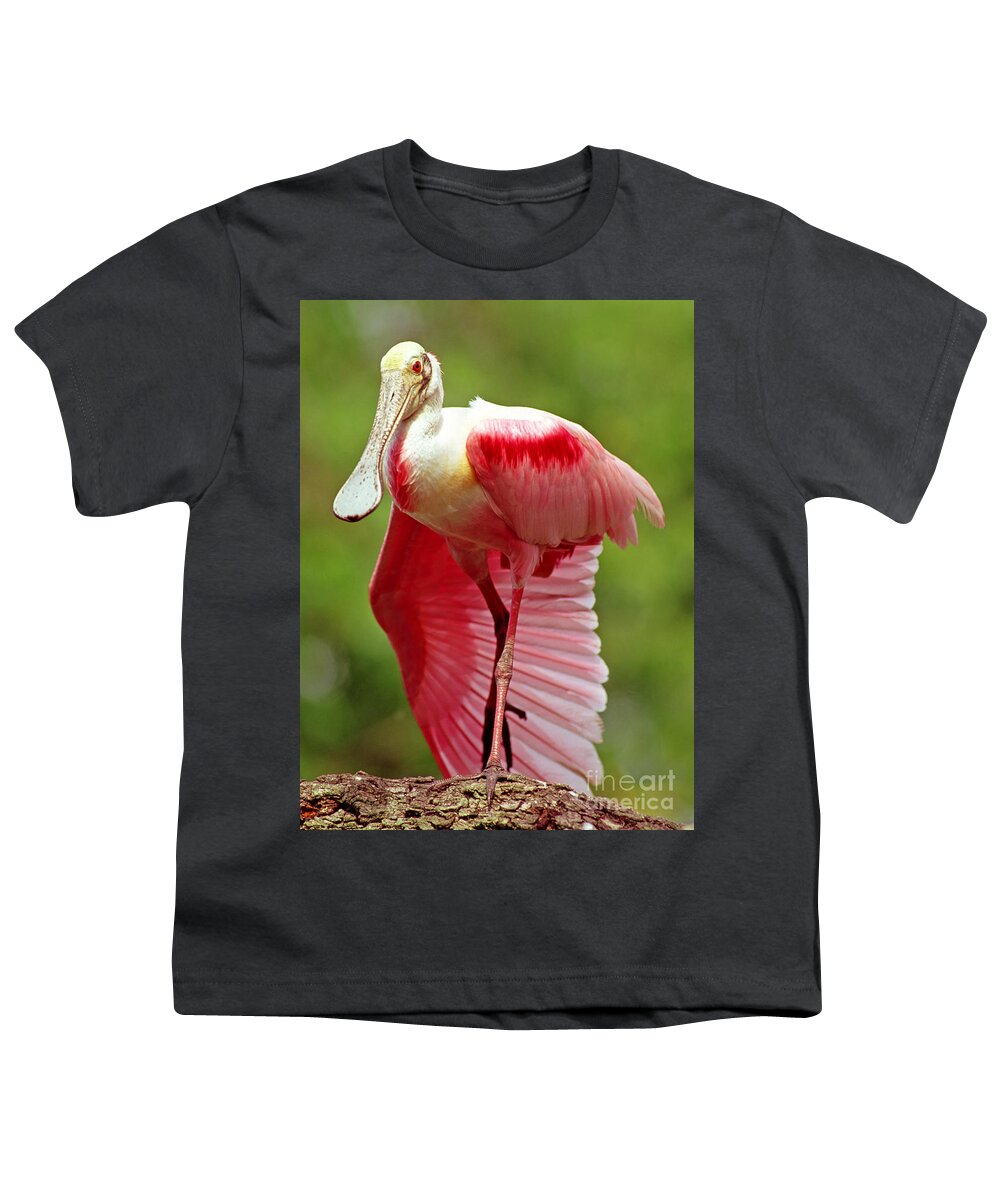 Nature Youth T-Shirt featuring the photograph Roseate Spoonbill #18 by Millard H Sharp
