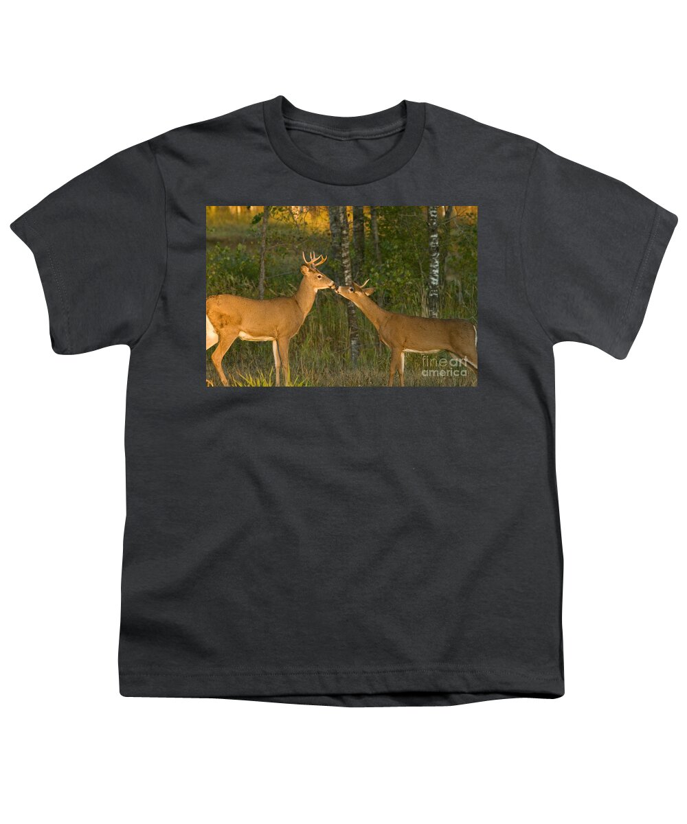 Animal Youth T-Shirt featuring the photograph White-tailed Deer #45 by Linda Freshwaters Arndt