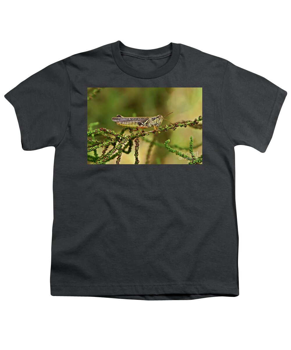 Grasshoppers Youth T-Shirt featuring the photograph Grasshopper #3 by Olga Hamilton
