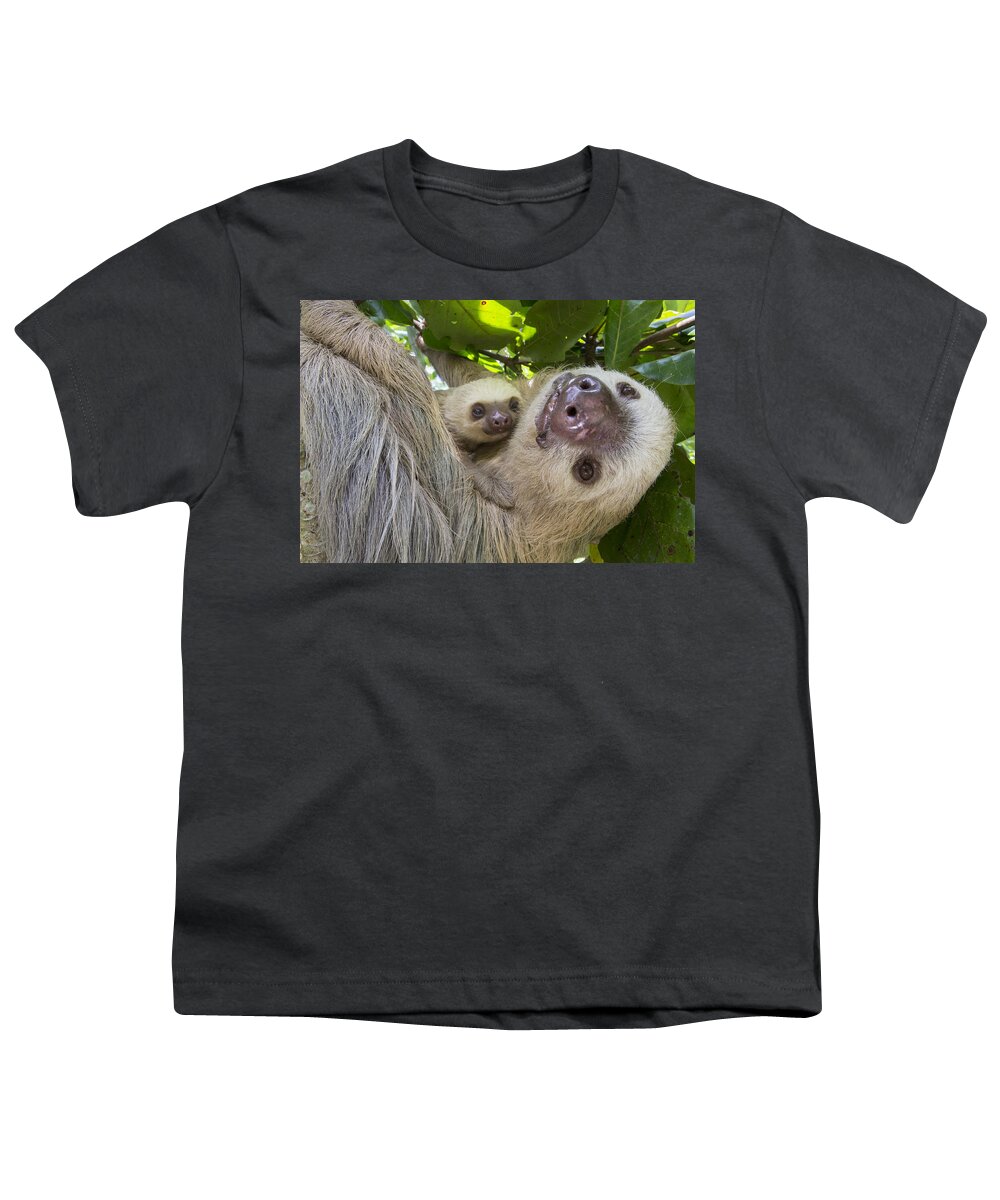 Suzi Eszterhas Youth T-Shirt featuring the photograph Hoffmanns Two-toed Sloth And Old Baby #3 by Suzi Eszterhas