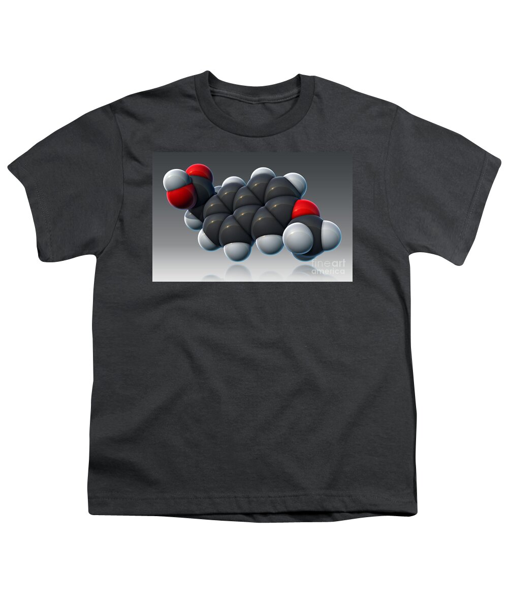 Science Youth T-Shirt featuring the photograph Naproxen, Molecular Model #3 by Evan Oto