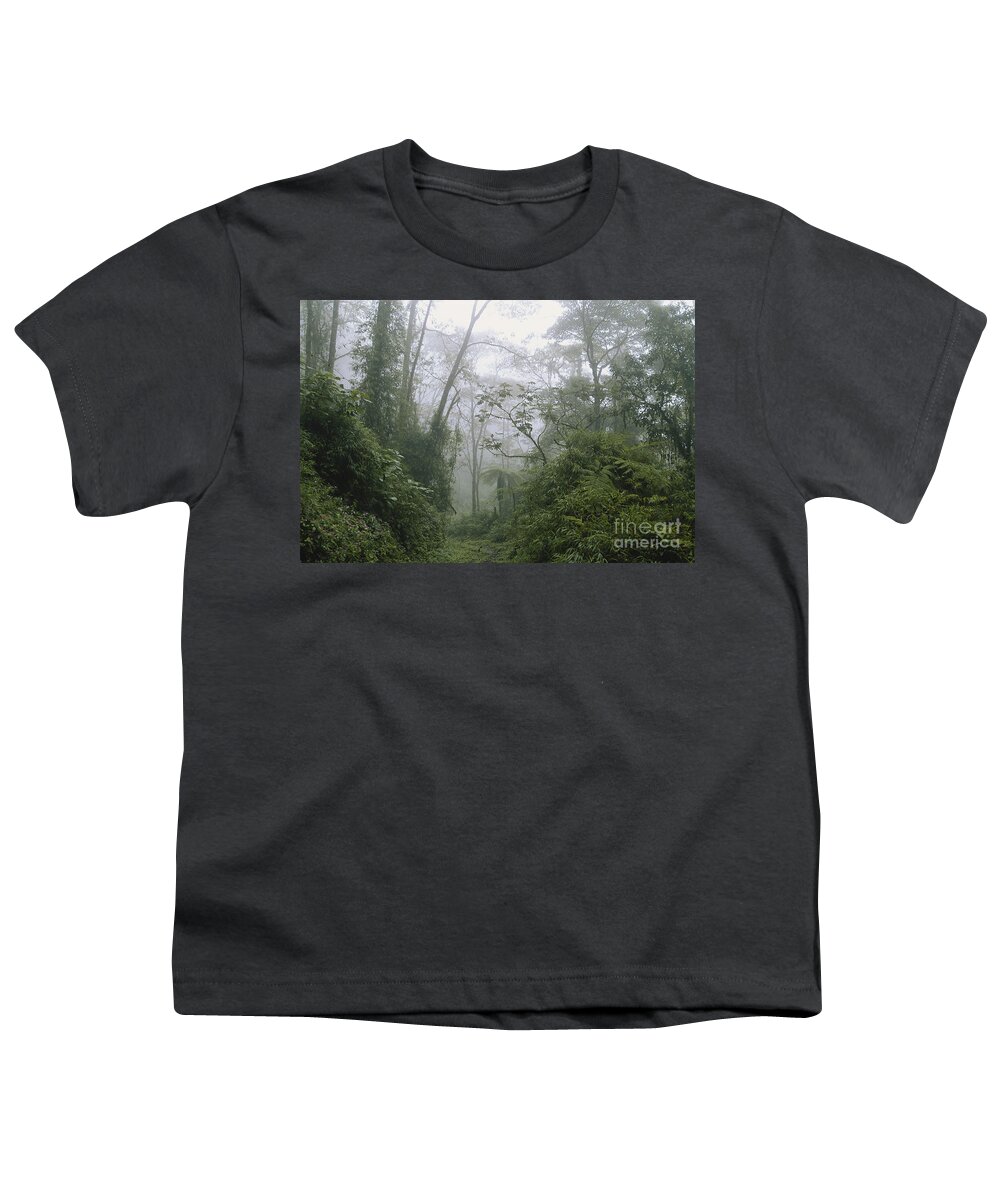 Cloud Forest Youth T-Shirt featuring the photograph Cloud Forest, Costa Rica #5 by Gregory G. Dimijian, M.D.