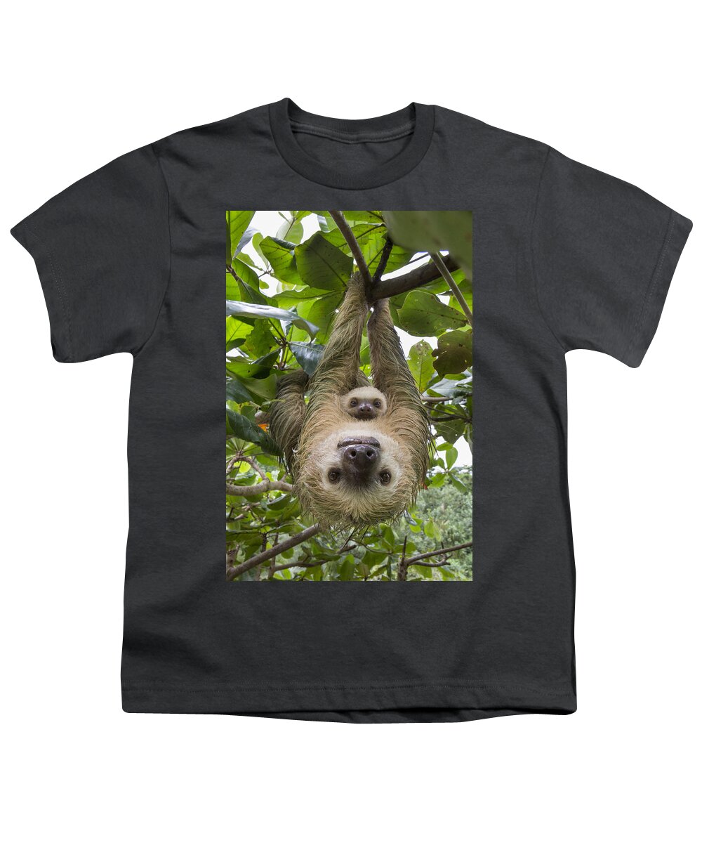 Mp Youth T-Shirt featuring the photograph Hoffmanns Two-toed Sloth And Old Baby #8 by Suzi Eszterhas