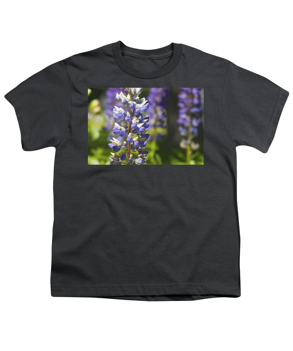 Lupine Youth T-Shirt featuring the photograph Purple Lupine Flowers #5 by Keith Webber Jr