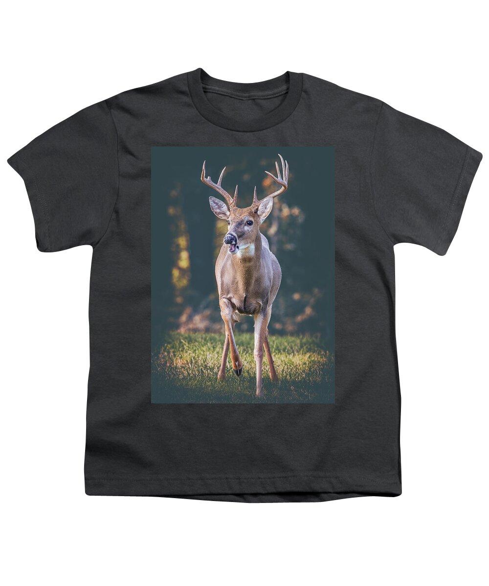 Buck Youth T-Shirt featuring the photograph A Buck From The Shadows by Bill and Linda Tiepelman