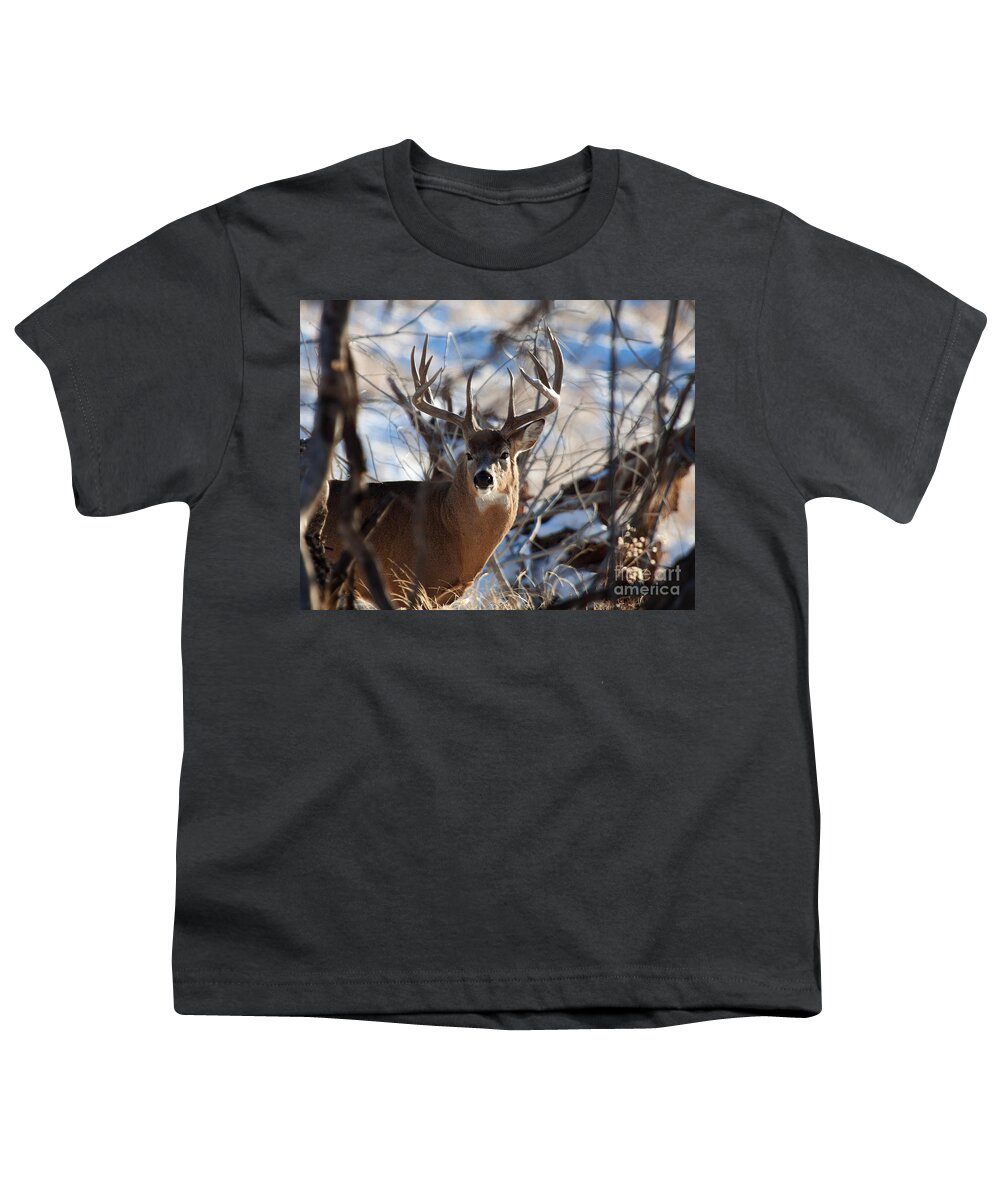 White Tail Buck Youth T-Shirt featuring the photograph A Buck in the Bush by Jim Garrison