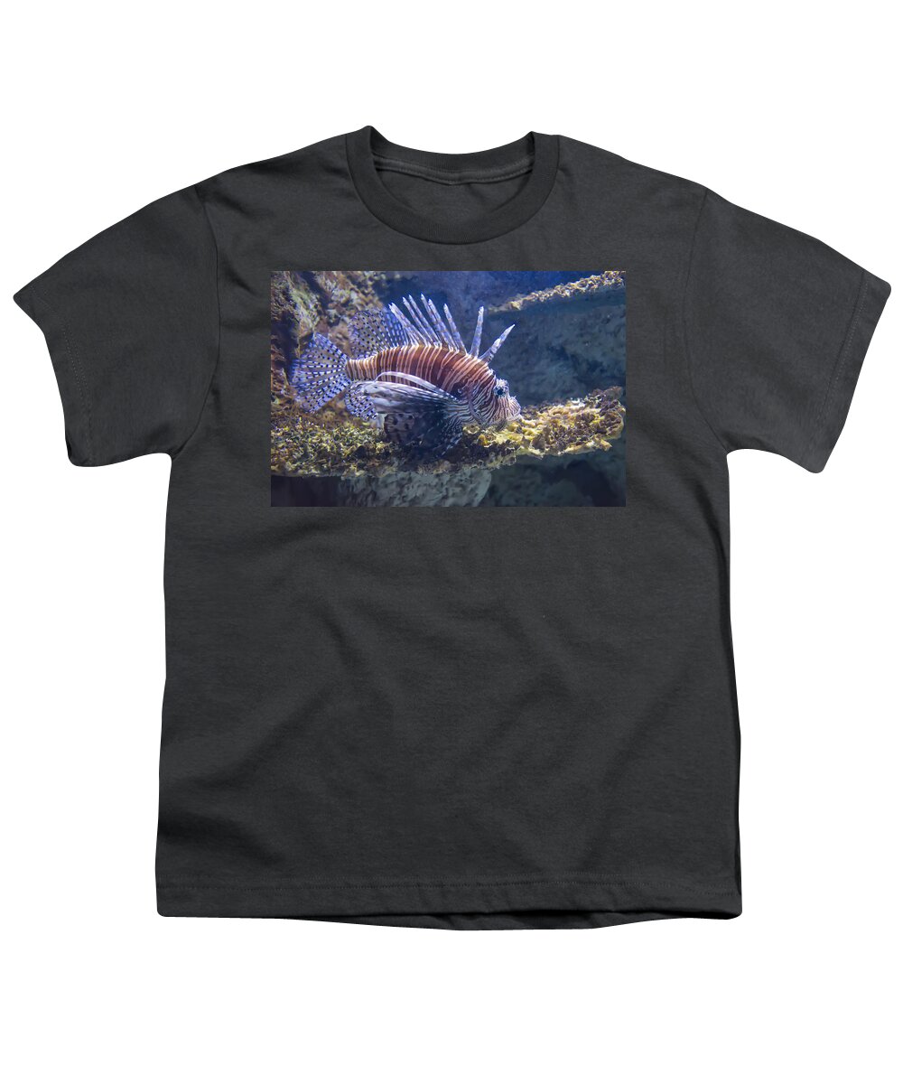 Fish Youth T-Shirt featuring the photograph A Single Lion Fish Swimming by Flees Photos