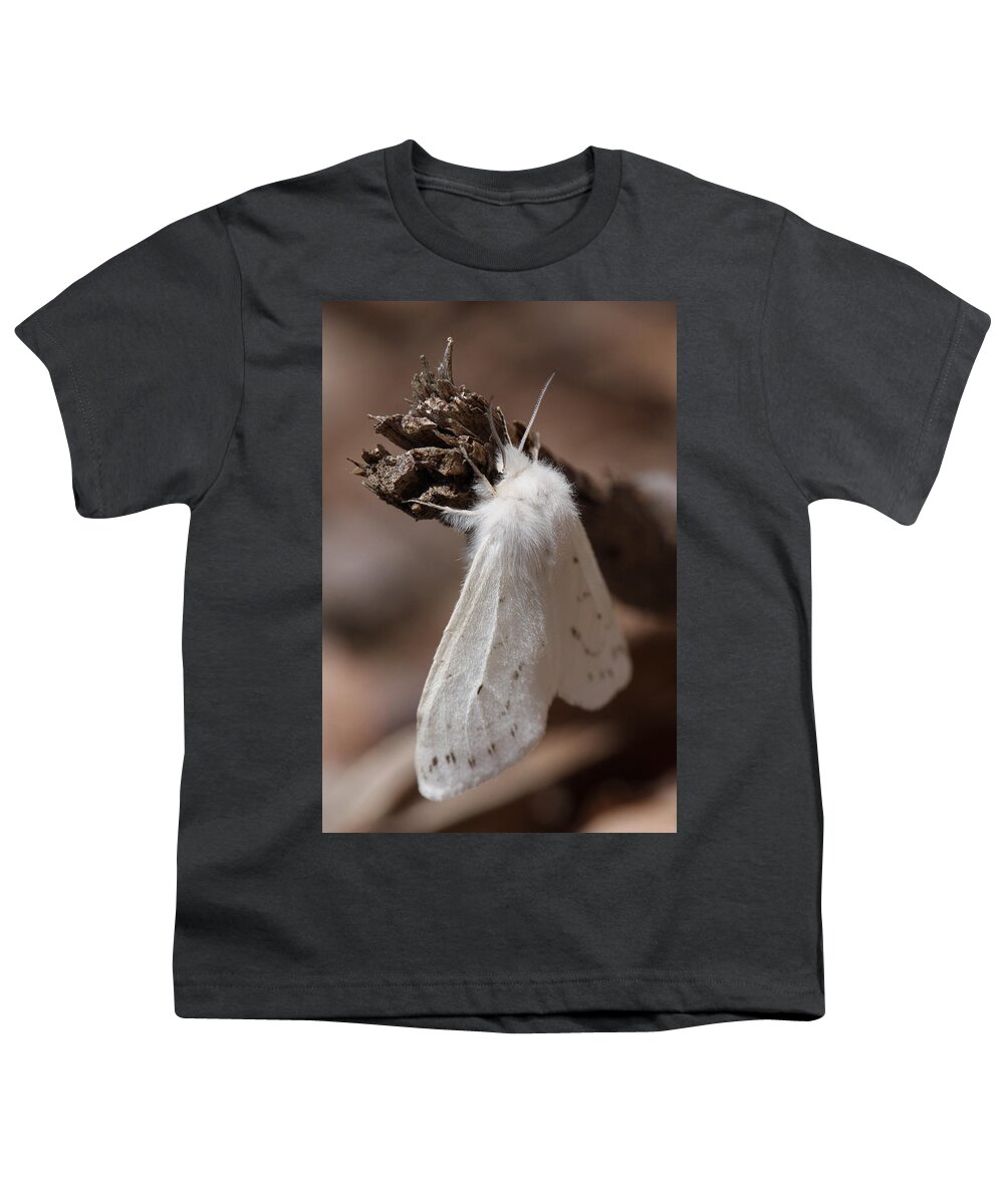 Agreeable Tiger Moth Youth T-Shirt featuring the photograph Agreeable Tiger Moth by Daniel Reed