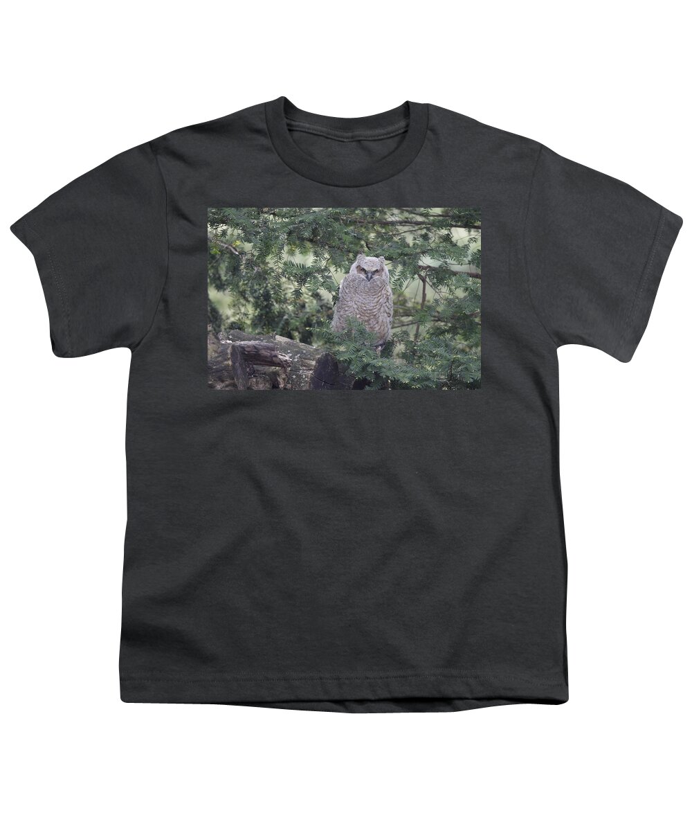 Horned Youth T-Shirt featuring the photograph Alert by Jean Macaluso