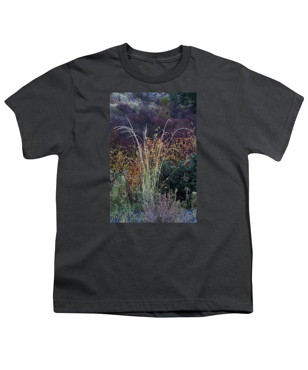 Weed Youth T-Shirt featuring the photograph Along Dryden Road by Robert Woodward
