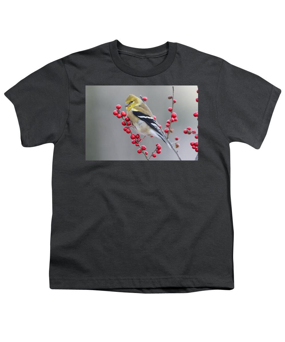 Scott Leslie Youth T-Shirt featuring the photograph American Goldfinch In Winter by Scott Leslie