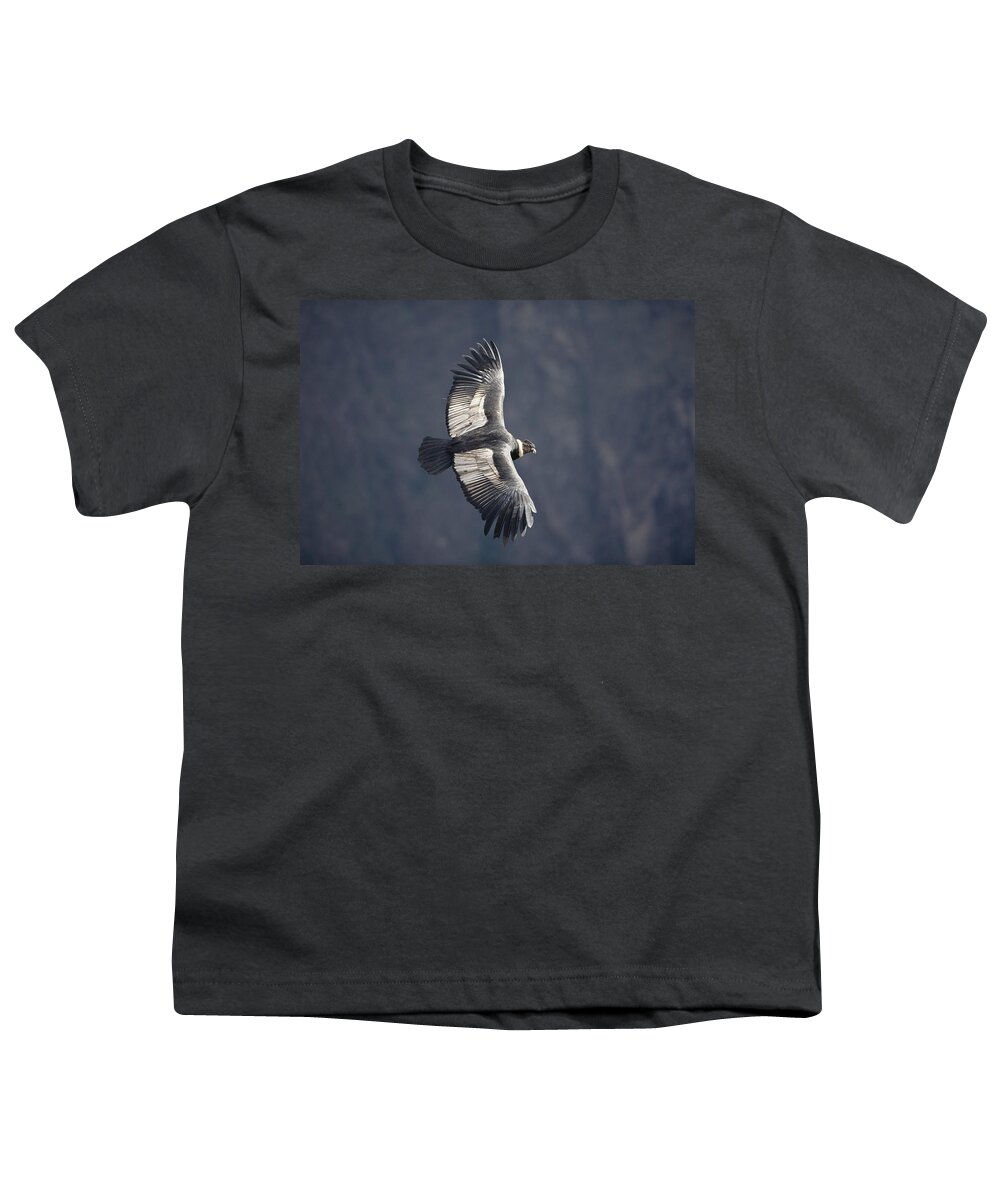 Feb0514 Youth T-Shirt featuring the photograph Andean Condor Riding Thermal Updraft by Tui De Roy