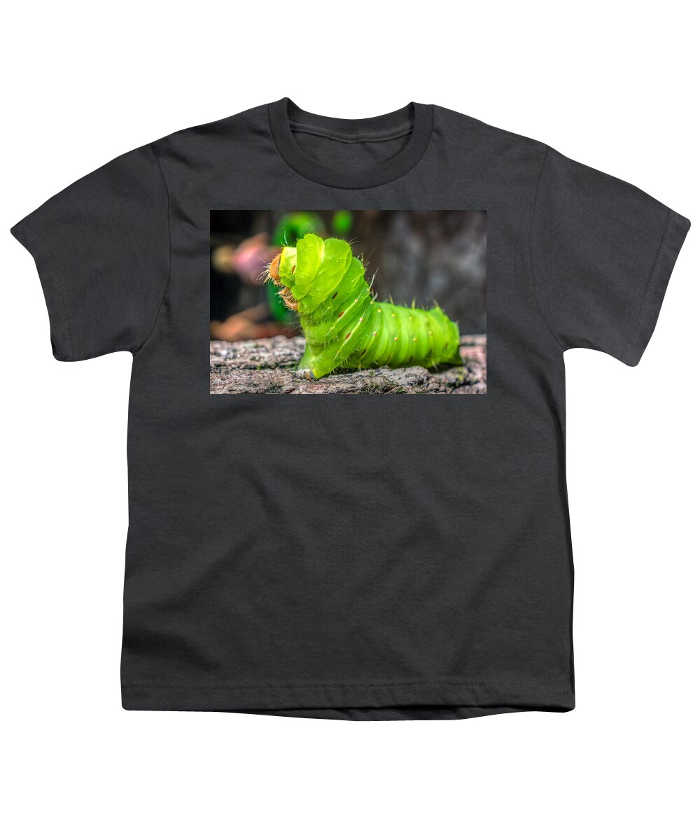 America Youth T-Shirt featuring the photograph Antheraea polyphemus by Traveler's Pics