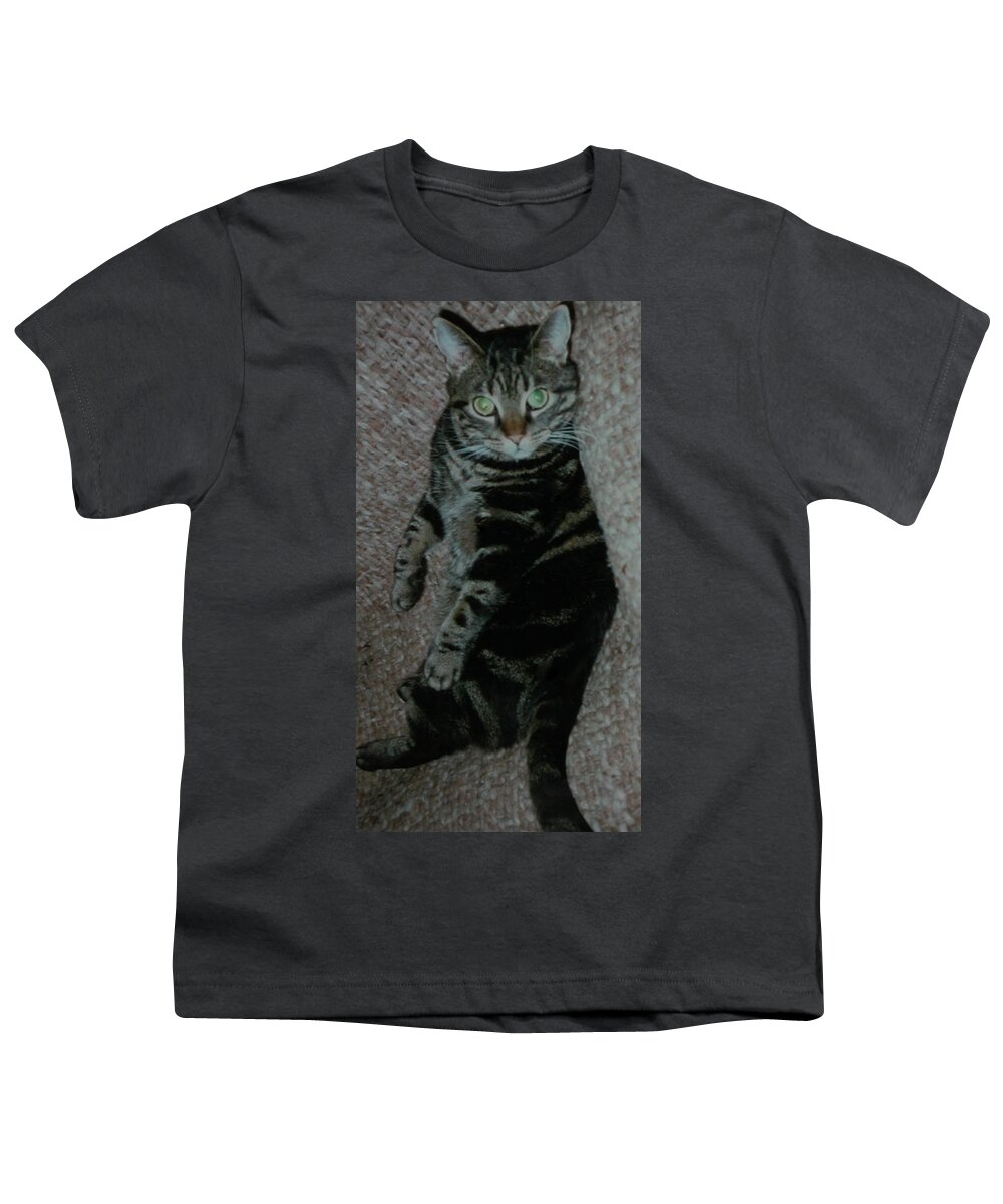 Colette Youth T-Shirt featuring the photograph Are you talking to me Dimitri Cat ask Me by Colette V Hera Guggenheim