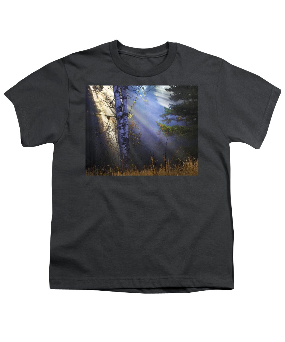 Fantasy Forest Youth T-Shirt featuring the photograph Autumn Fog With Sun Rays by Theresa Tahara