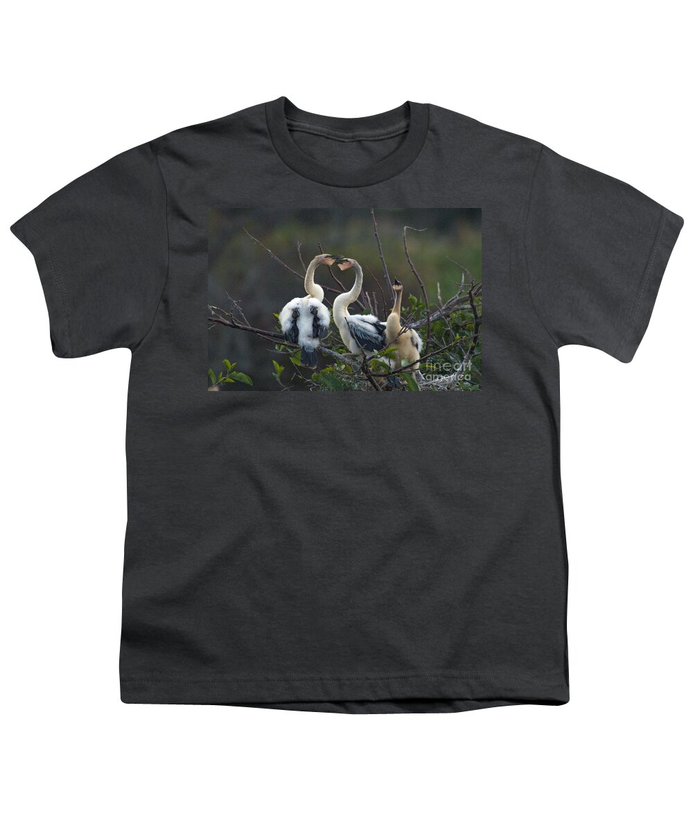 Nature Youth T-Shirt featuring the photograph Baby Anhinga by Mark Newman